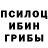 Галлюциногенные грибы прущие грибы snppium