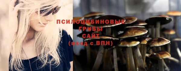 стаф Ладушкин