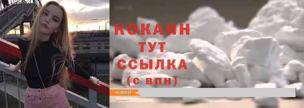 индика Липки