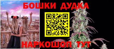 индика Абакан