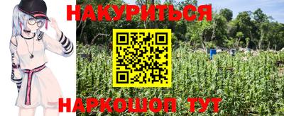 индика Абакан