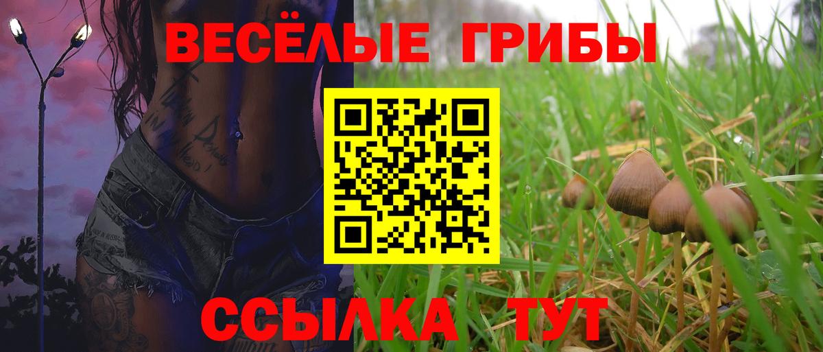 Псилоцибиновые грибы ЛСД  Вход с VPN  Мыски  Псилоцибиновые грибы Psilocybe 