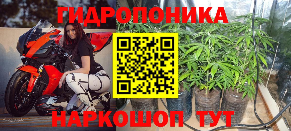 Каннабис Bruce Banner  Бошки Шишки Ganja  Мыски 